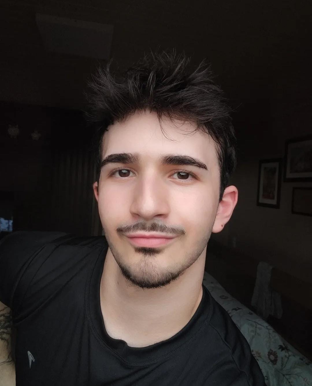 Perfil Artista 1
